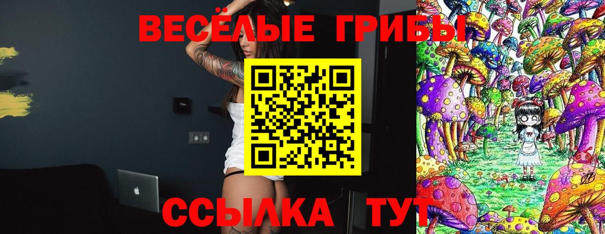 как найти закладки  Вход с VPN  Семилуки  Псилоцибиновые грибы мицелий 
